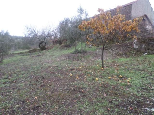 Terrenos Mação Mação DS97124460
