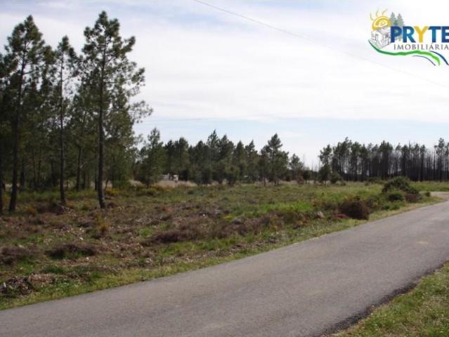 Terrenos Mação Mação DS101582991