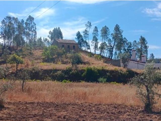Terrenos Mação Mação ELS94819243