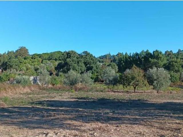 Terrenos Mação Mação ES94819240