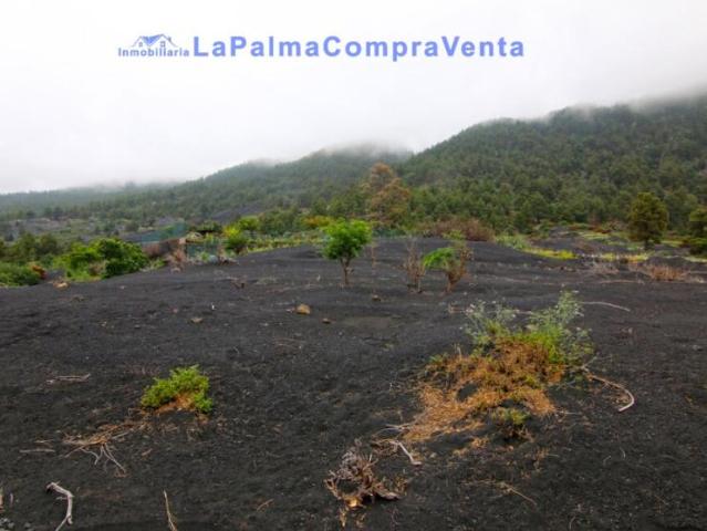 Terrenos Manchas, Las Santa Cruz De Tenerife LS91686078