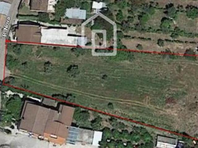 Terrenos Mangualde Mangualde DLS94752863