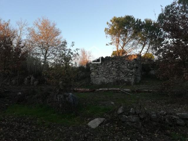 Terrenos Mangualde Mangualde DS91382519