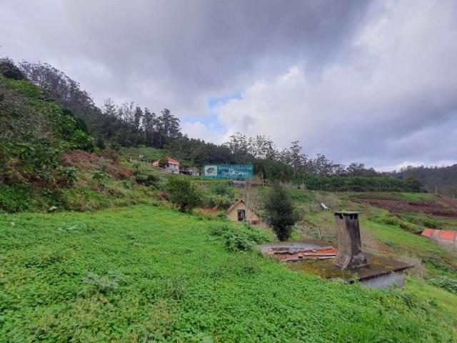 Terrenos Machico Machico DS102017234