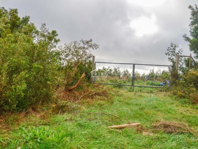Terrenos Machico Ilha da Madeira DLS90910431