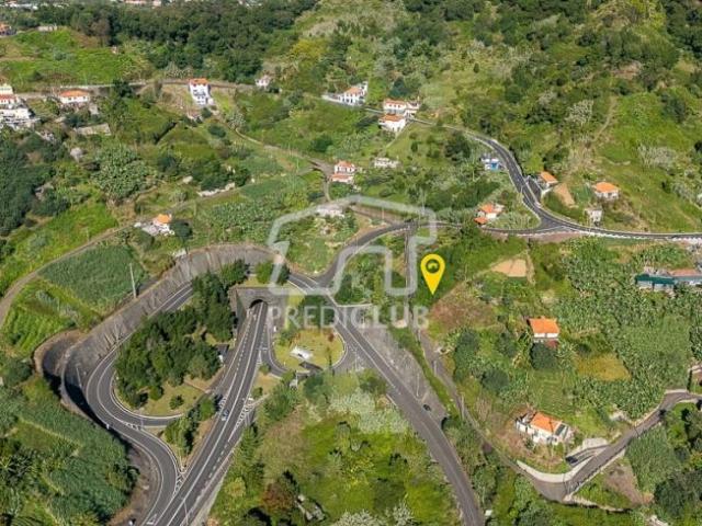 Terrenos Machico Ilha da Madeira DS98663379