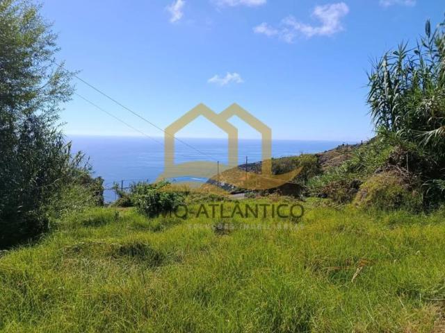 Terrenos Madeira Calheta 9370 DLS96881953