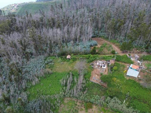 Terrenos Madeira Calheta 9370 DLS98918673
