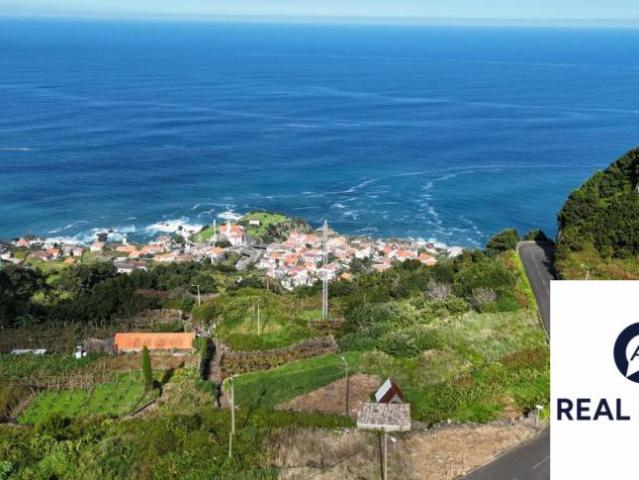 Terrenos Madeira Porto Moniz 9270 DLS96649578