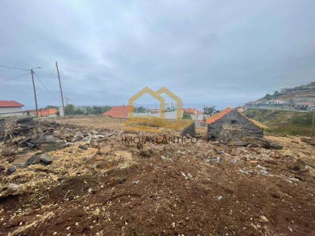 Terrenos Madeira Ribeira Brava 9350 DLS96841872