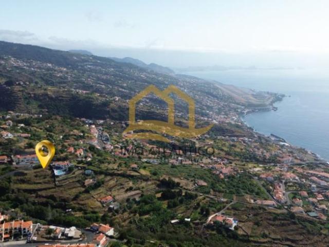 Terrenos Madeira Santa Cruz 9100 DS101910599