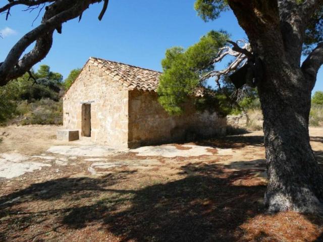 Terrenos Maella Zaragoza 101440640