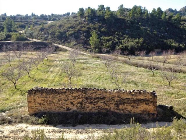 Terrenos Maella Zaragoza 101440739