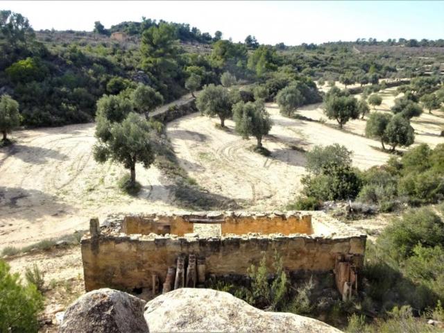 Terrenos Maella Zaragoza 101440765
