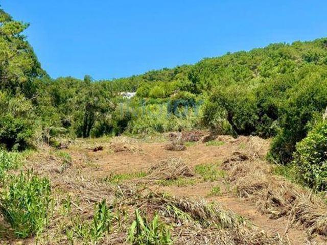 Terrenos Mafra Lisboa 2655 432 DLS96326493