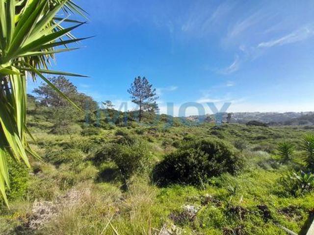 Terrenos Mafra Lisboa 2655 213 DLS96321279