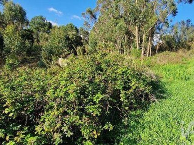 Terrenos Mafra Lisboa DLS89334222