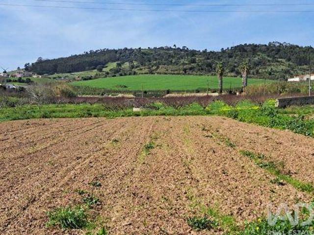 Terrenos Mafra Lisboa DLS95257284