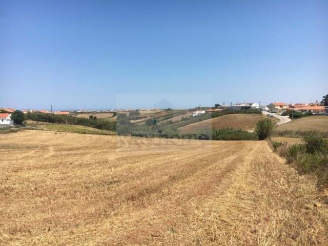Terrenos Mafra Lisboa DS86007783
