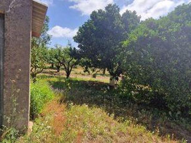 Terrenos Mafra Lisboa DS92317591