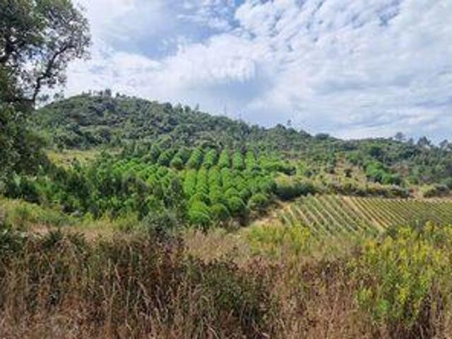 Terrenos Mafra Lisboa DS95815863