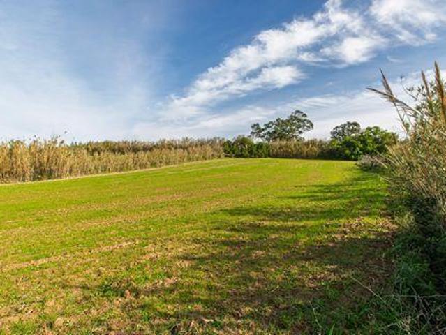 Terrenos Mafra Lisboa DS97109503