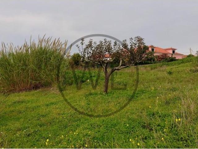 Terrenos Mafra Mafra DLS91514946