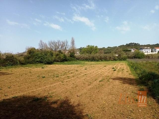 Terrenos Mafra Mafra DLS95048336