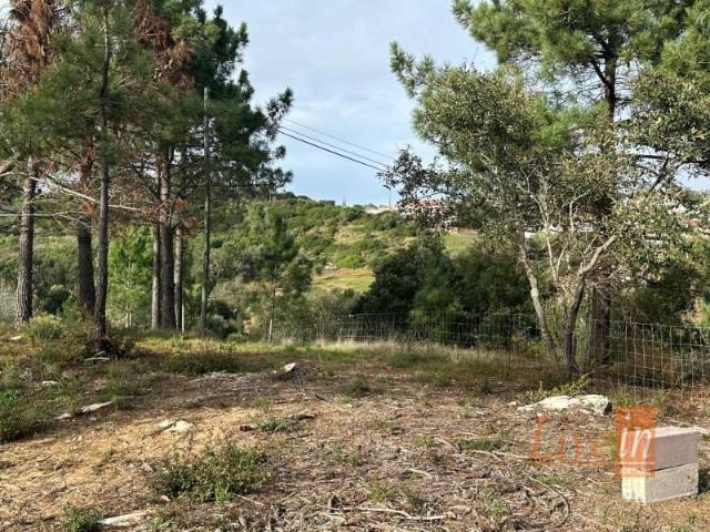 Terrenos Mafra Mafra DLS96158820