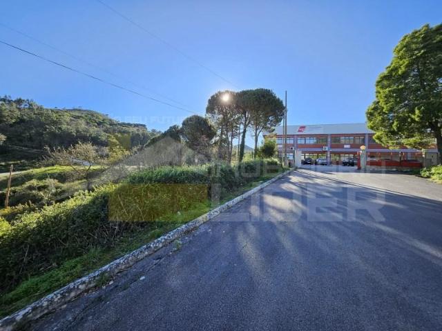 Terrenos Mafra Mafra DLS97120806
