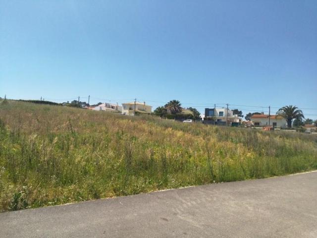Terrenos Mafra Mafra DLS98026241