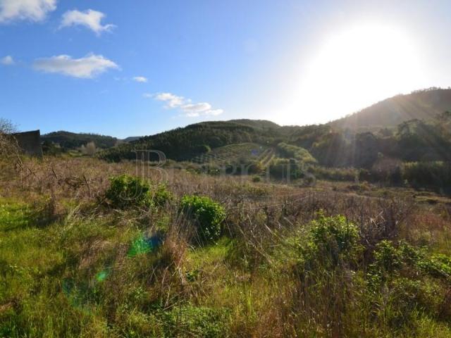 Terrenos Mafra Mafra DLS98106377