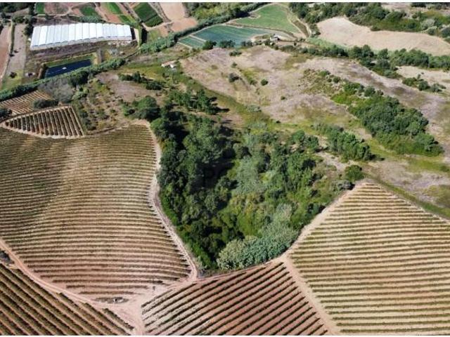 Terrenos Mafra Mafra DLS99985983