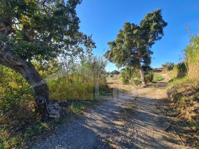 Terrenos Mafra Mafra DLS101786213