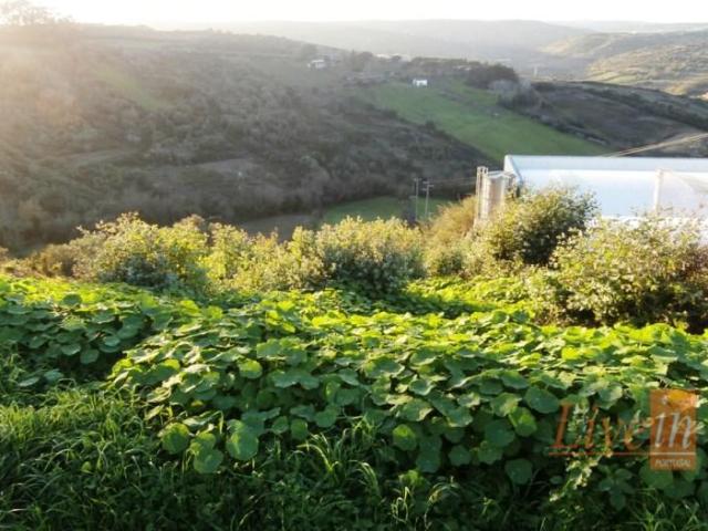 Terrenos Mafra Mafra DLS102578023