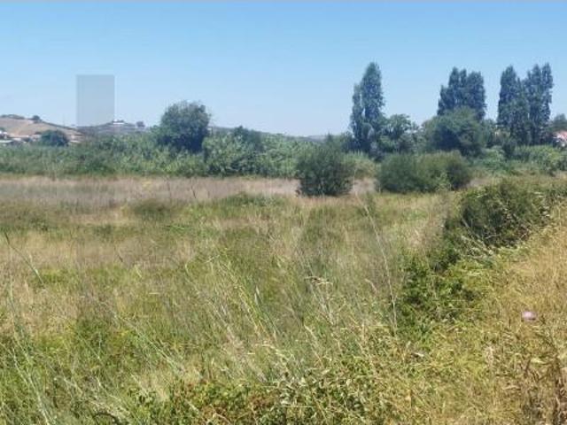 Terrenos Mafra Mafra DLS102799081