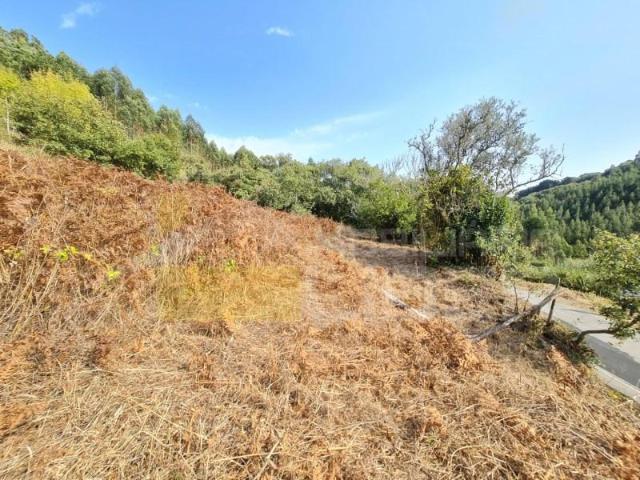 Terrenos Mafra Mafra DS102714396