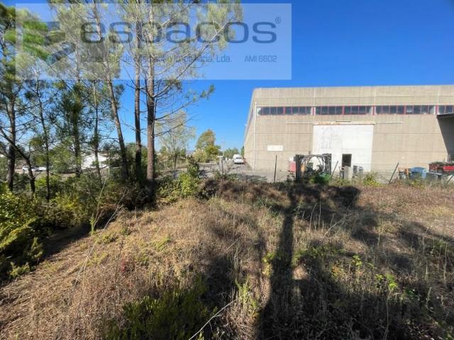 Terrenos Mafra Mafra DS97601877