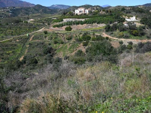 Terrenos Málaga Andalusia 100115396