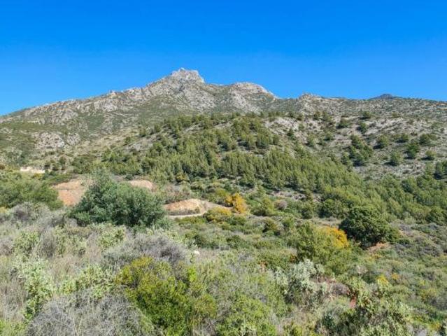 Terrenos Málaga Andalusia 102665167