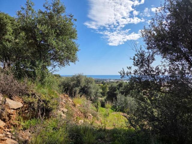 Terrenos Málaga Andalusia 102665232