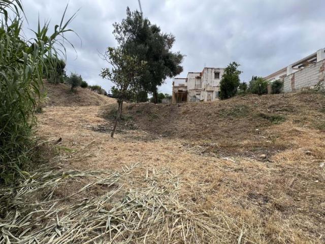 Terrenos Málaga Andalusia 103181087