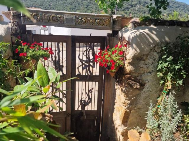 Terrenos Malaga Malaga 103396389