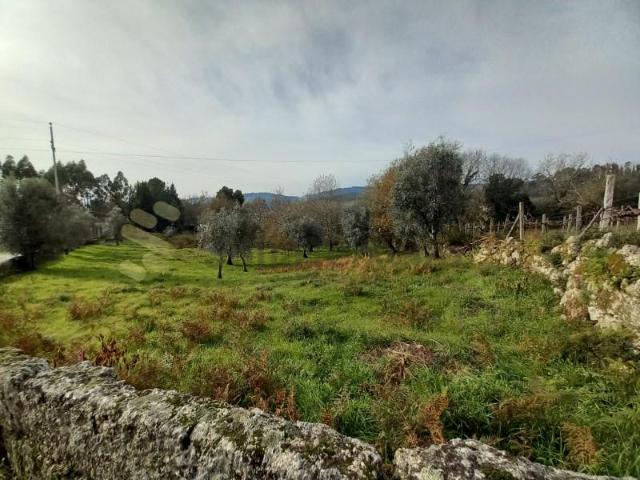 Terrenos Marco de Canaveses Marco de Canaveses DS87075413