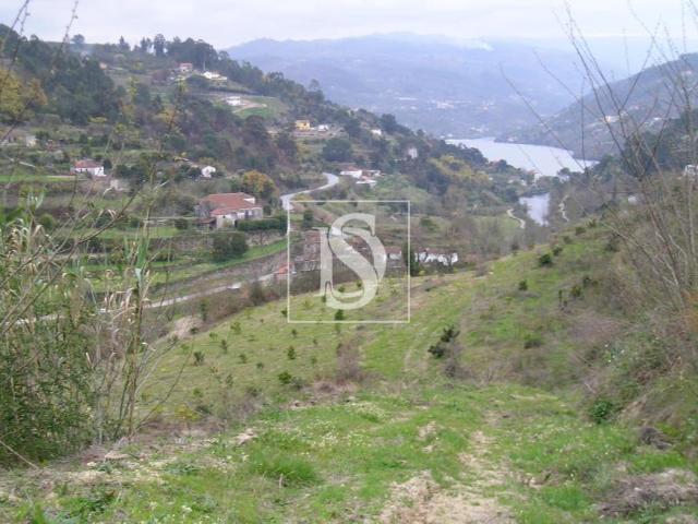 Terrenos Marco de Canaveses Porto DLS94668644