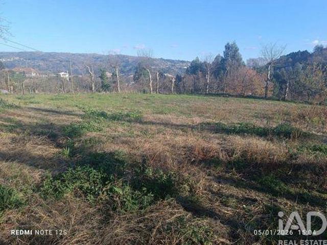 Terrenos Marco De Canaveses Porto DLS98503434