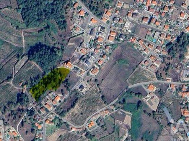 Terrenos Marco De Canaveses Porto DS98387233