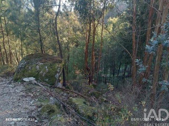 Terrenos Marco De Canaveses Porto DS98503438