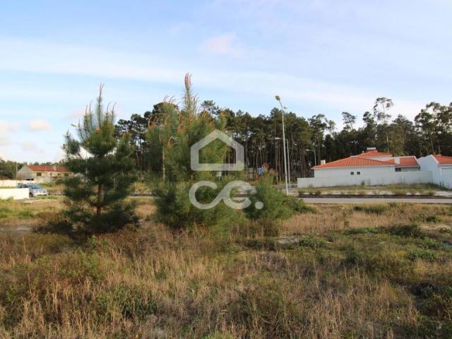 Terrenos Marinha Grande Leiria DLS54300429