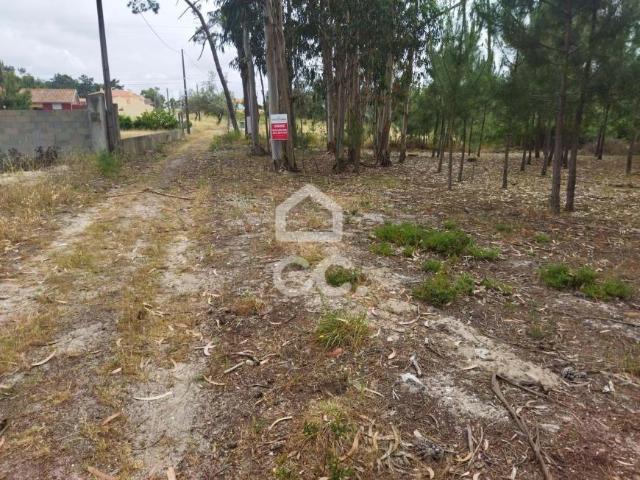 Terrenos Marinha Grande Leiria DLS79204537
